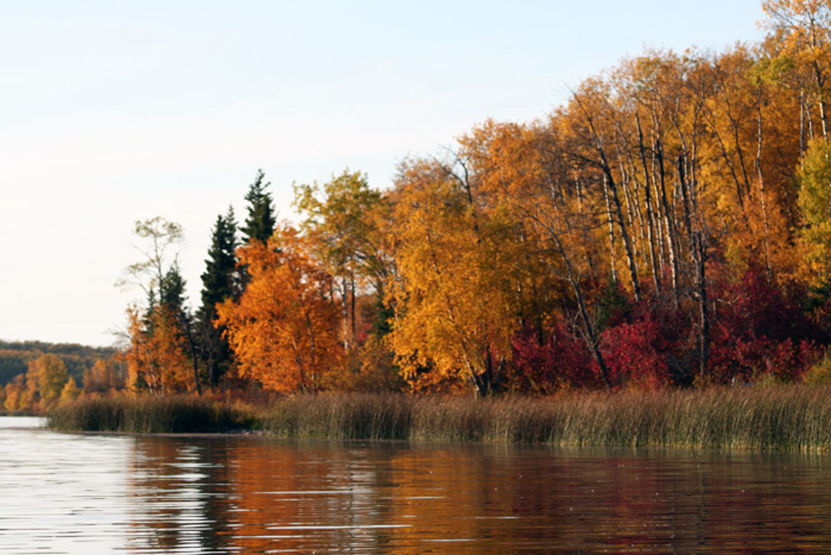 Riding Mountain Aspen Parkland in the Fall (Photo by NCC)