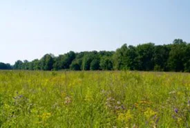 Tall grass prairie (Photo by Jenna Siu/NCC)