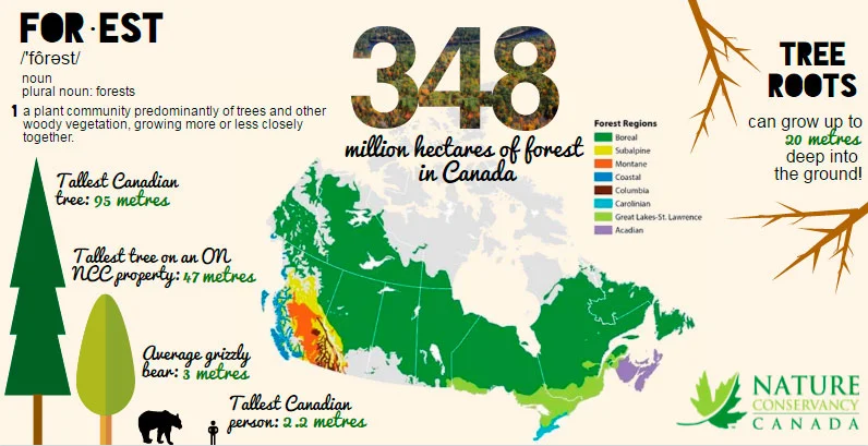(Infographic by NCC, graphics from Piktochart)