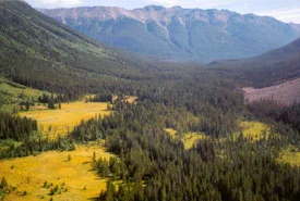 Enchantment Valley (Photo by NCC)