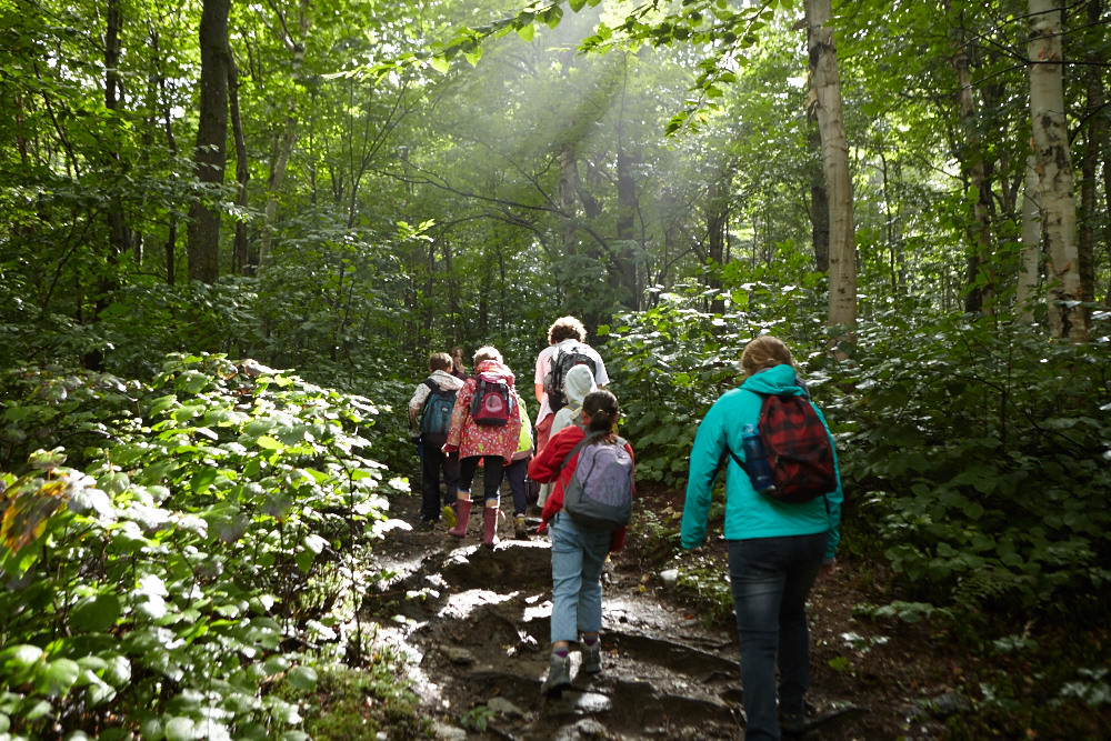 Image Credit: Green Mountains Nature Reserve, by Guillaume Simoneau