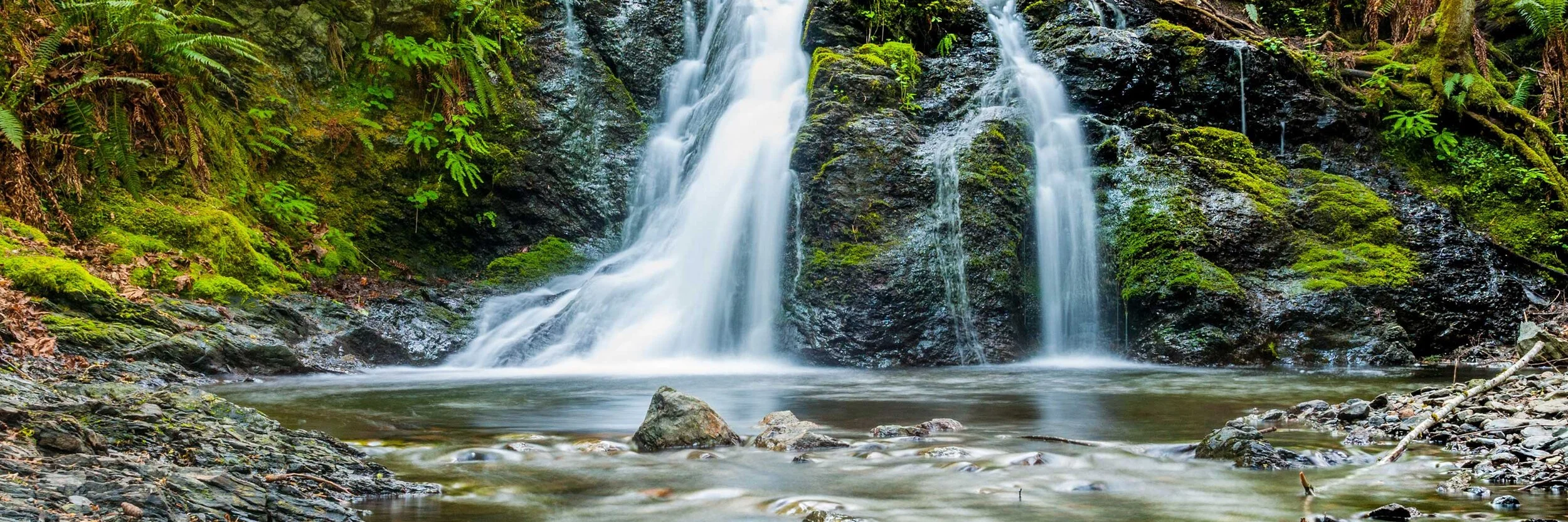 westboundary-photography-chris-gill-lBL7rSRaNGs-unsplash_crop-2.jpg