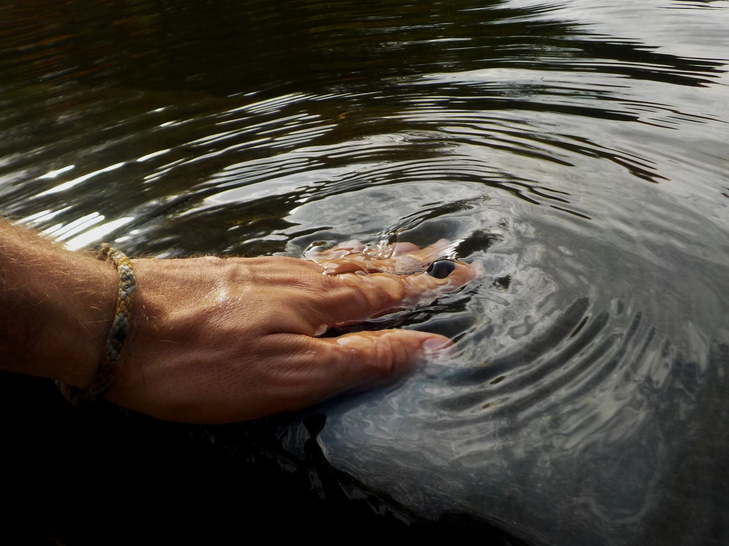Emotional Healing