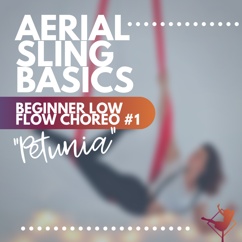 Aerial Sling Basics: Low Beginner Flow Choreo #1 "Petunia" | $14.99