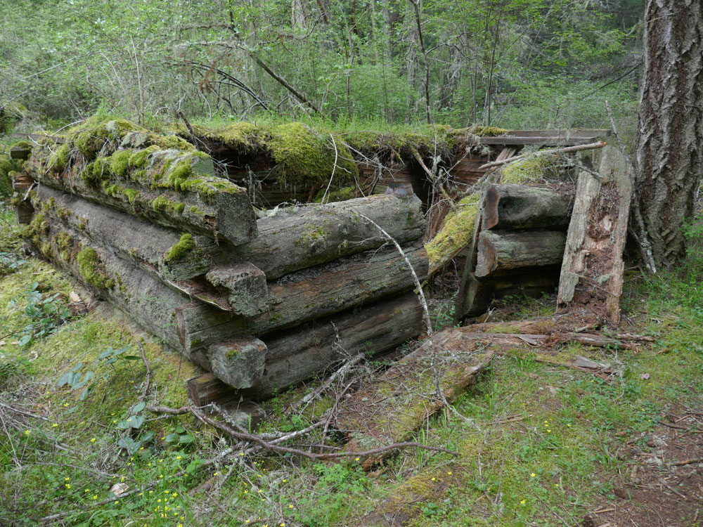 The ruins of a log outbuilding next to the house