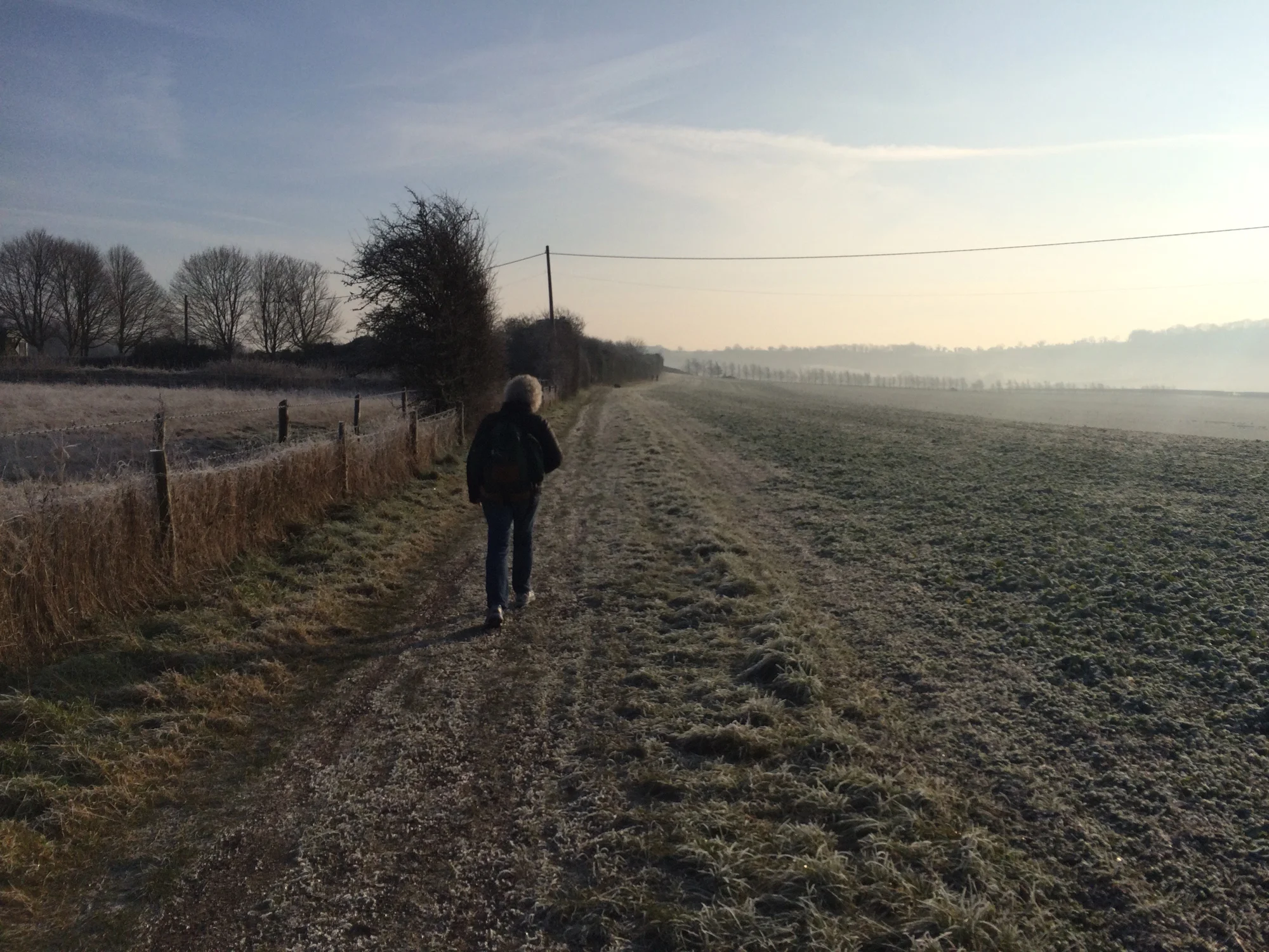 Out of Winchester
