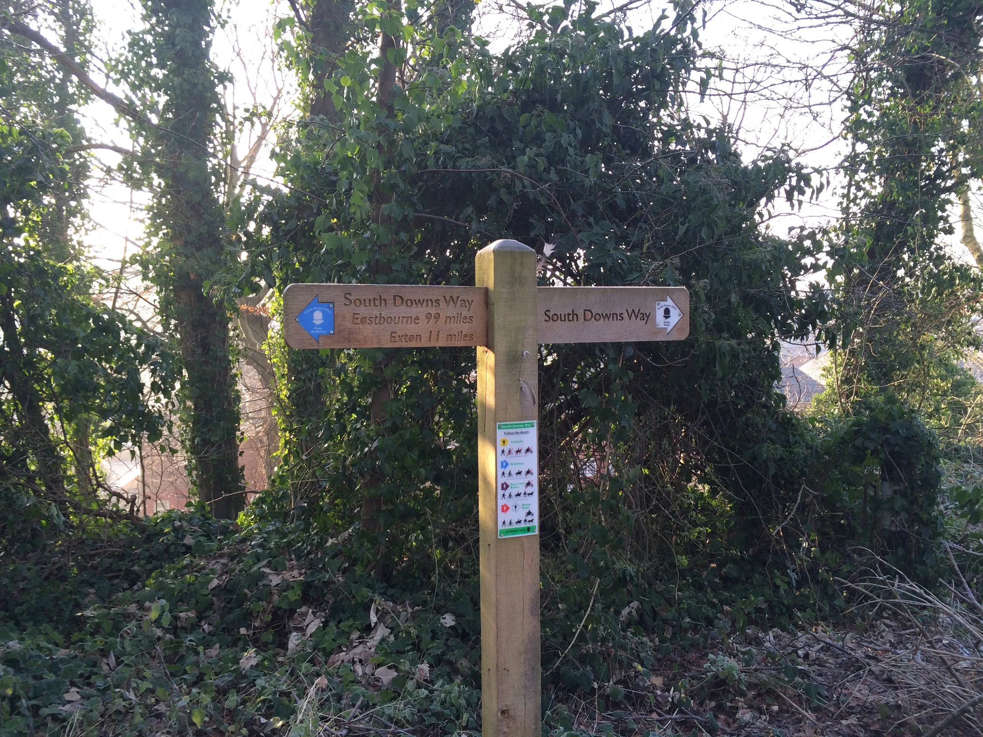 Go this way
