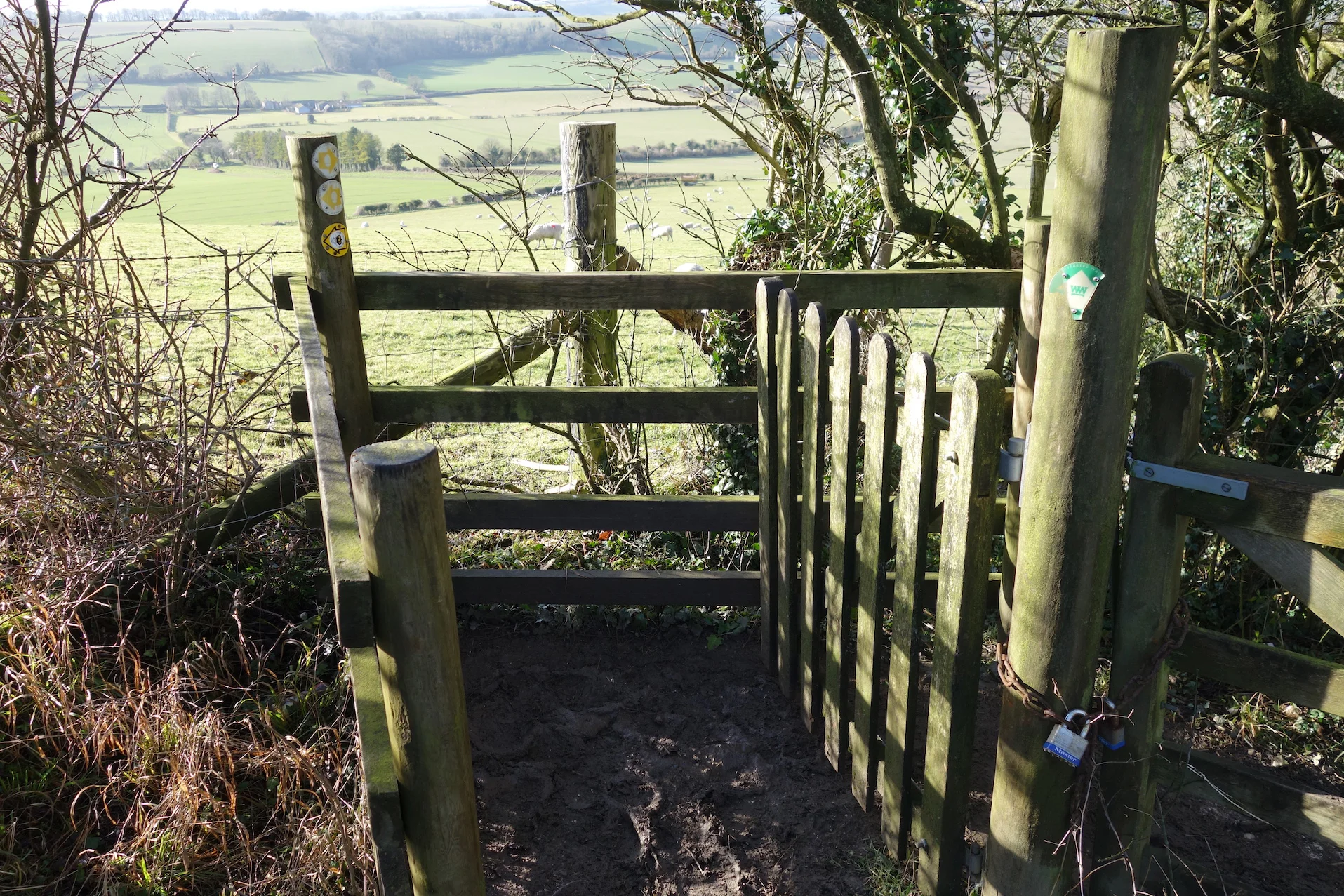 Swing gate - think about it