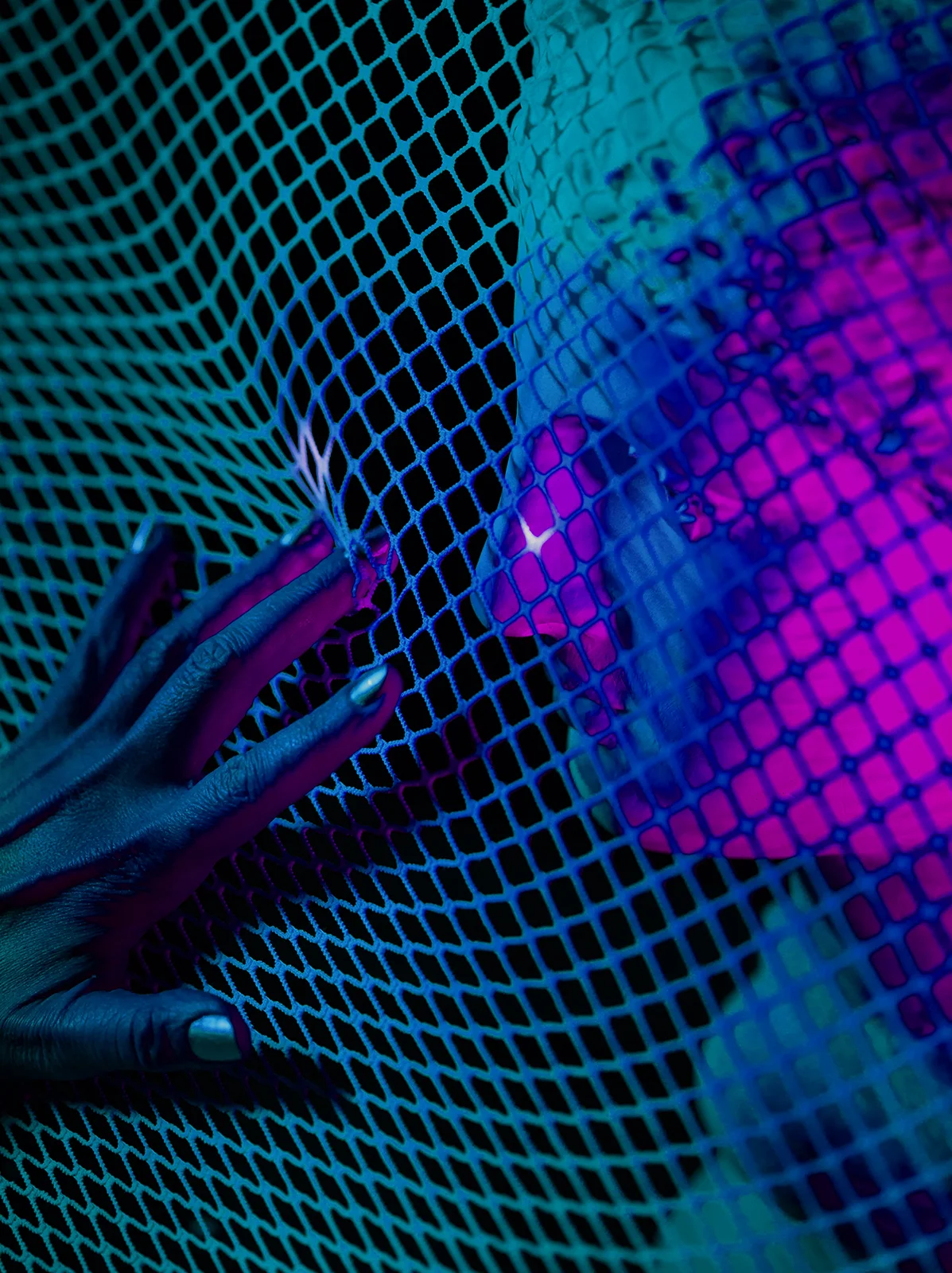    Goddess Net Trap,   c-print, variable dimensions, 2017 
