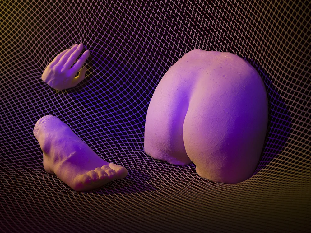    Future Vintage Porn  , c-print, variable dimensions, 2017 