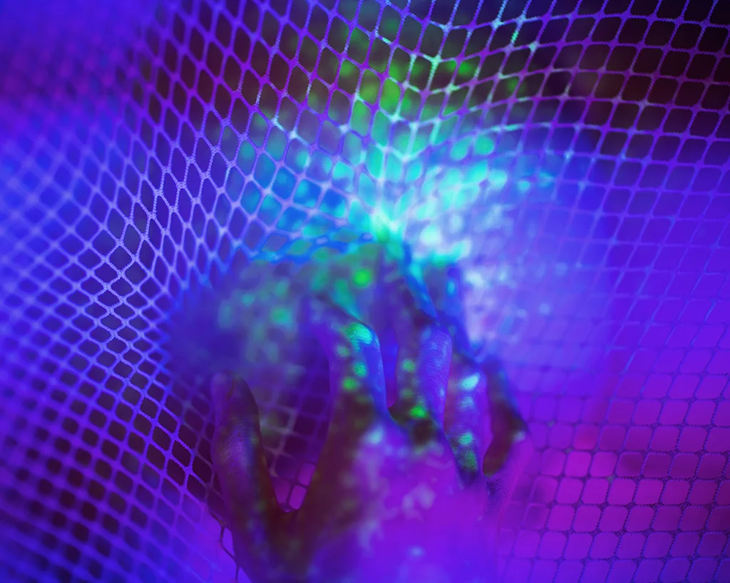    Net Creepin',   c-print, 2016 