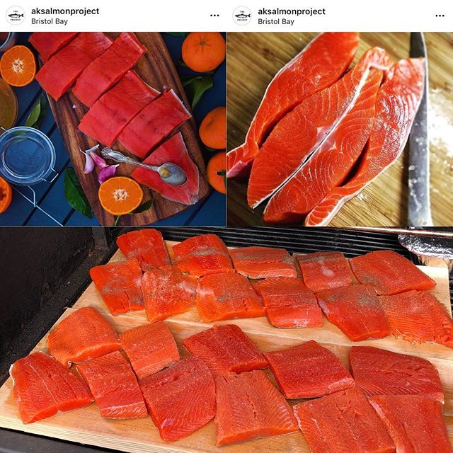 I will be doing restaurant and home deliveries through late November. Get it before it&rsquo;s gone! #wildalaskansalmon #greatnorthernseafoods #knowyourfisherman #sustainable #eatwild 
Photo credit: @lindseyraya @setthenet