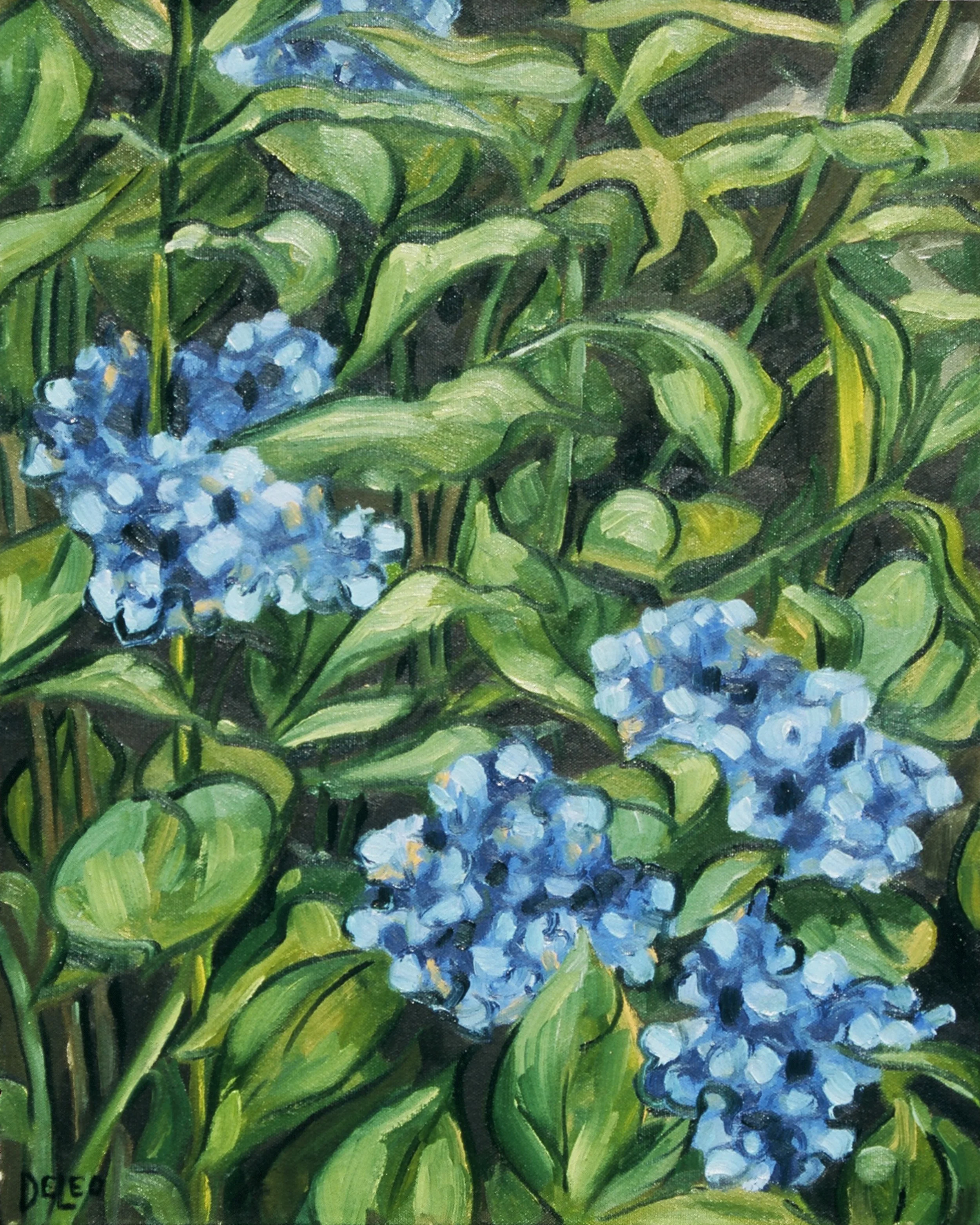 Hydrangeas II