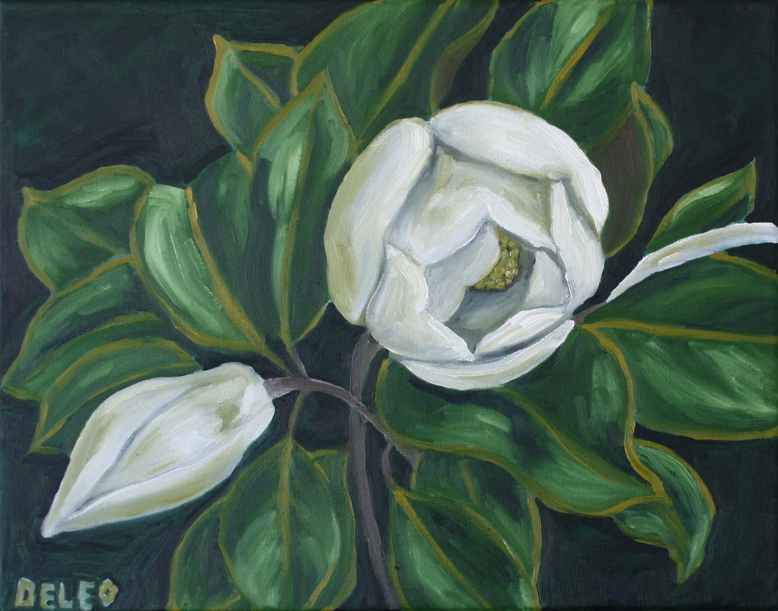 Magnolia Still Life