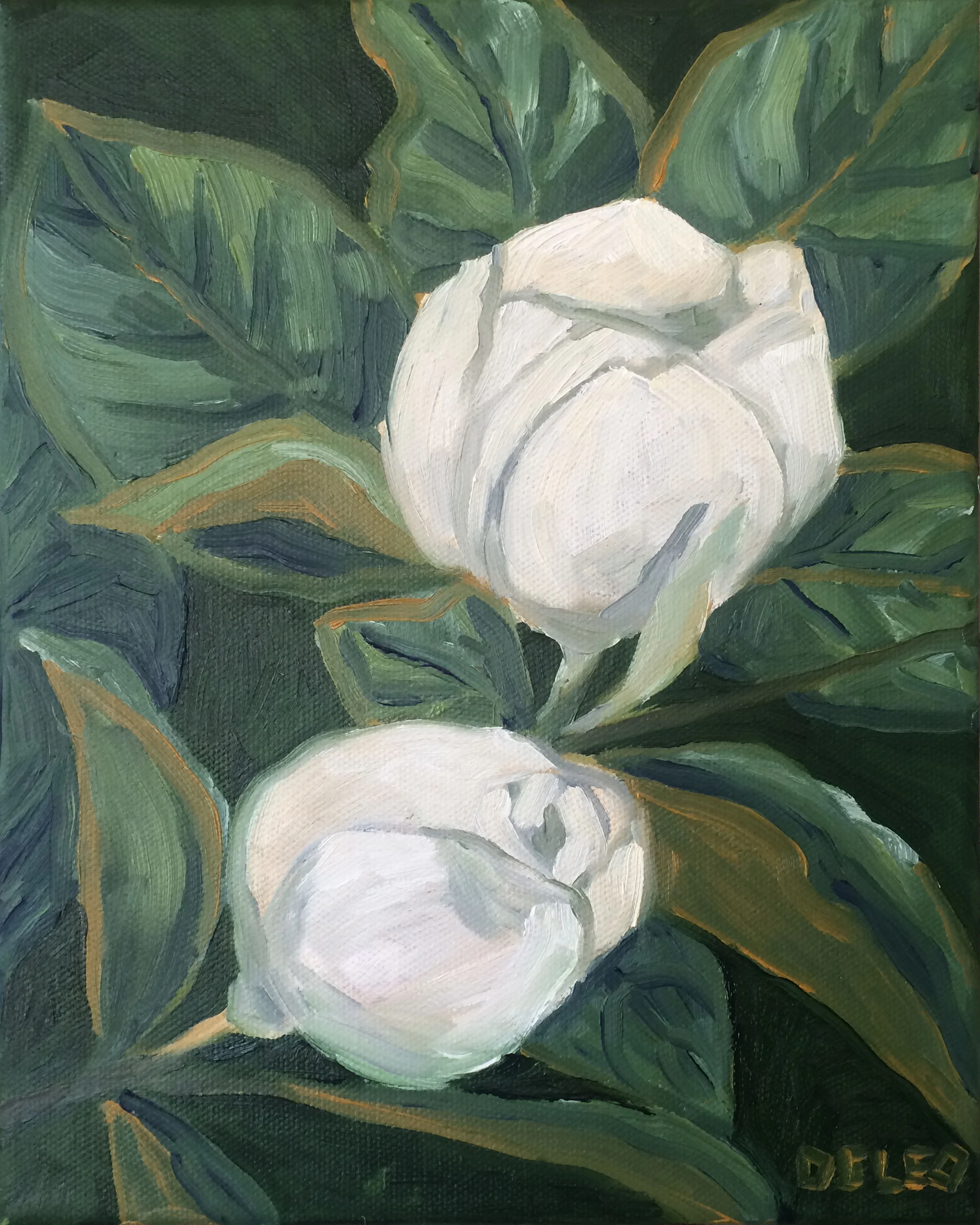 Magnolia I