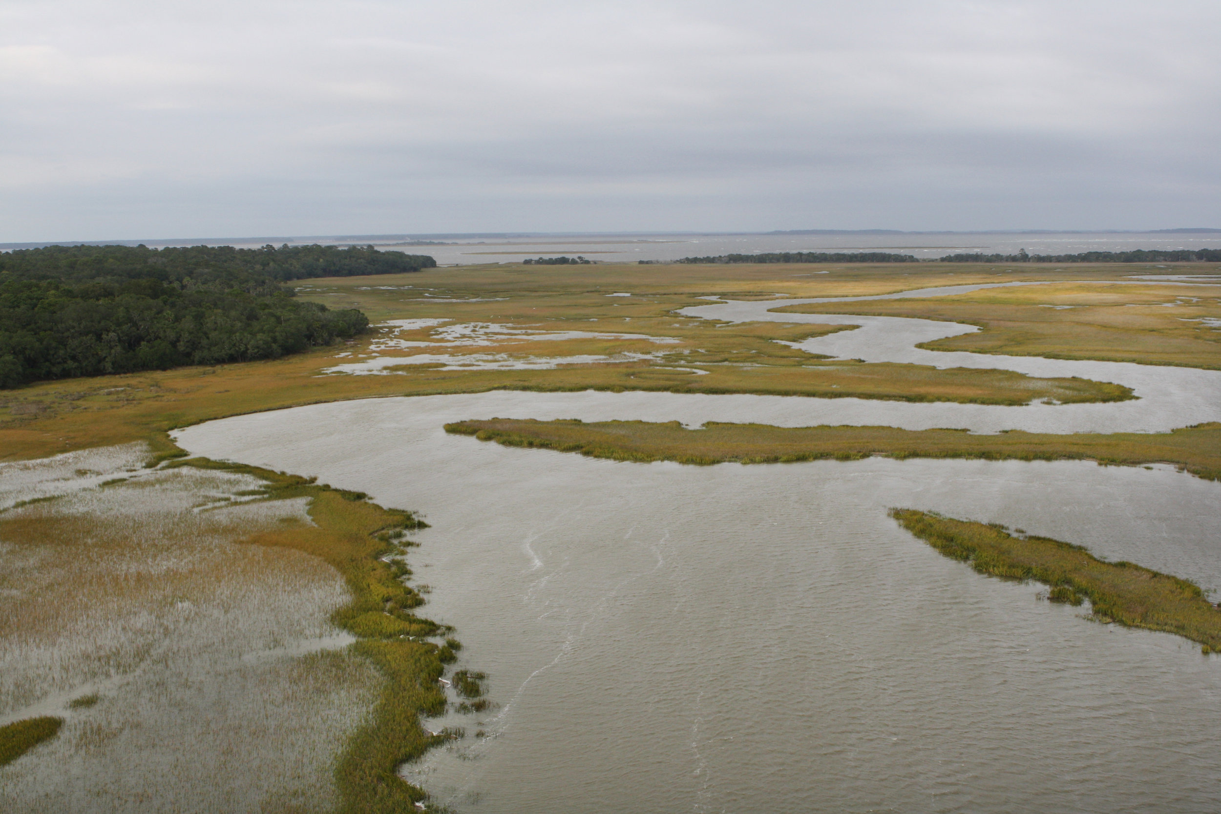 Georgia Coast Series