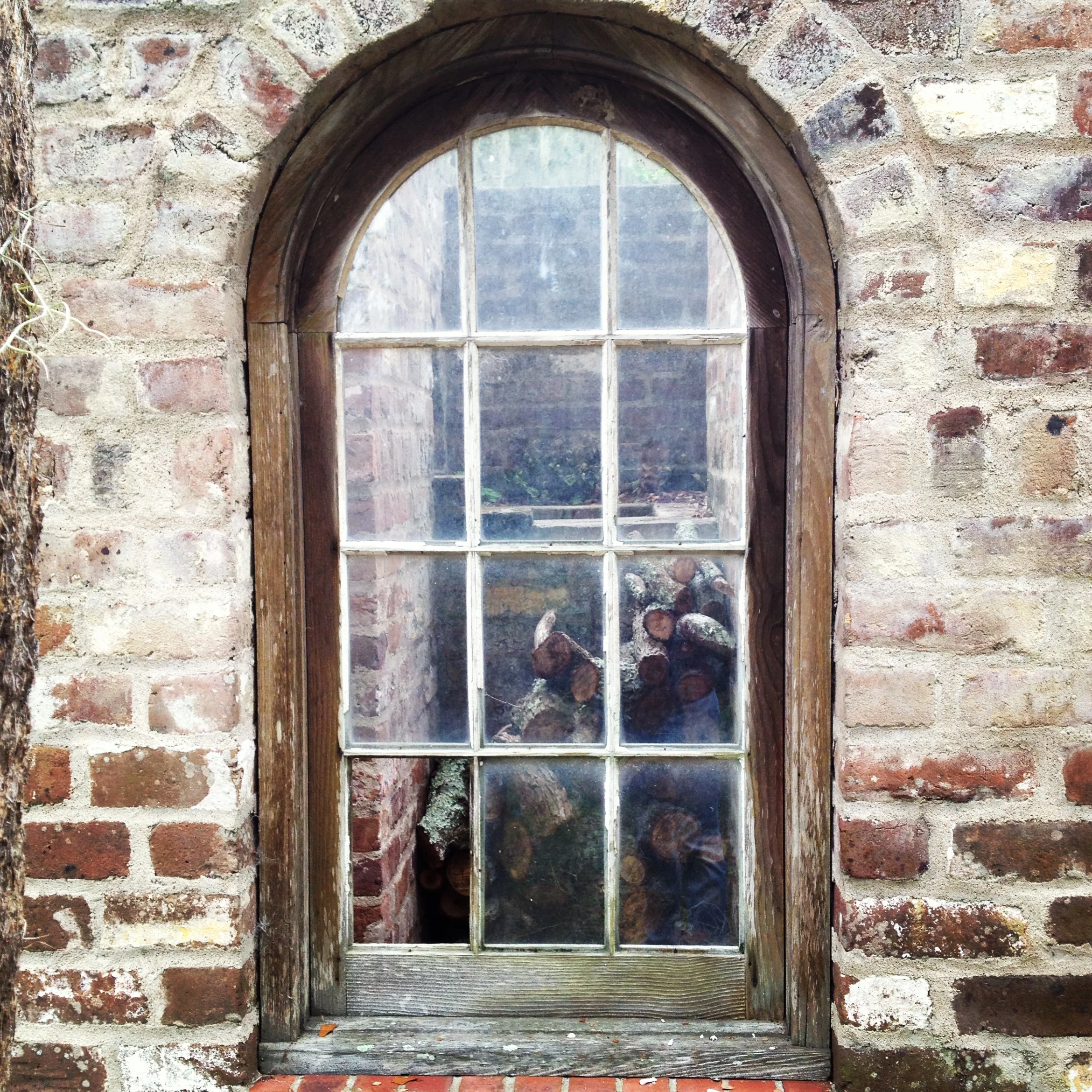 Around Skidaway Institute