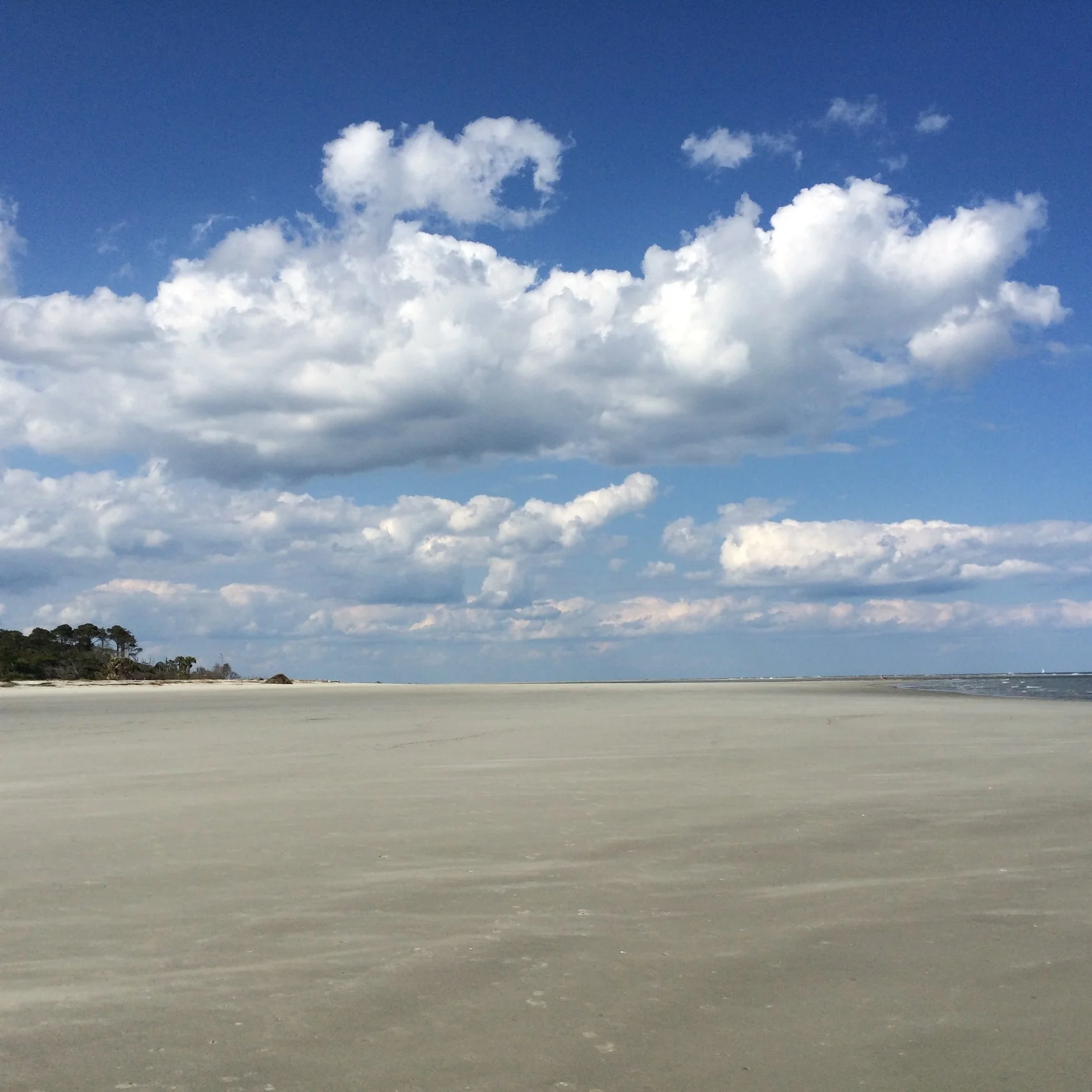Driftwood Beach, Jekyll Island