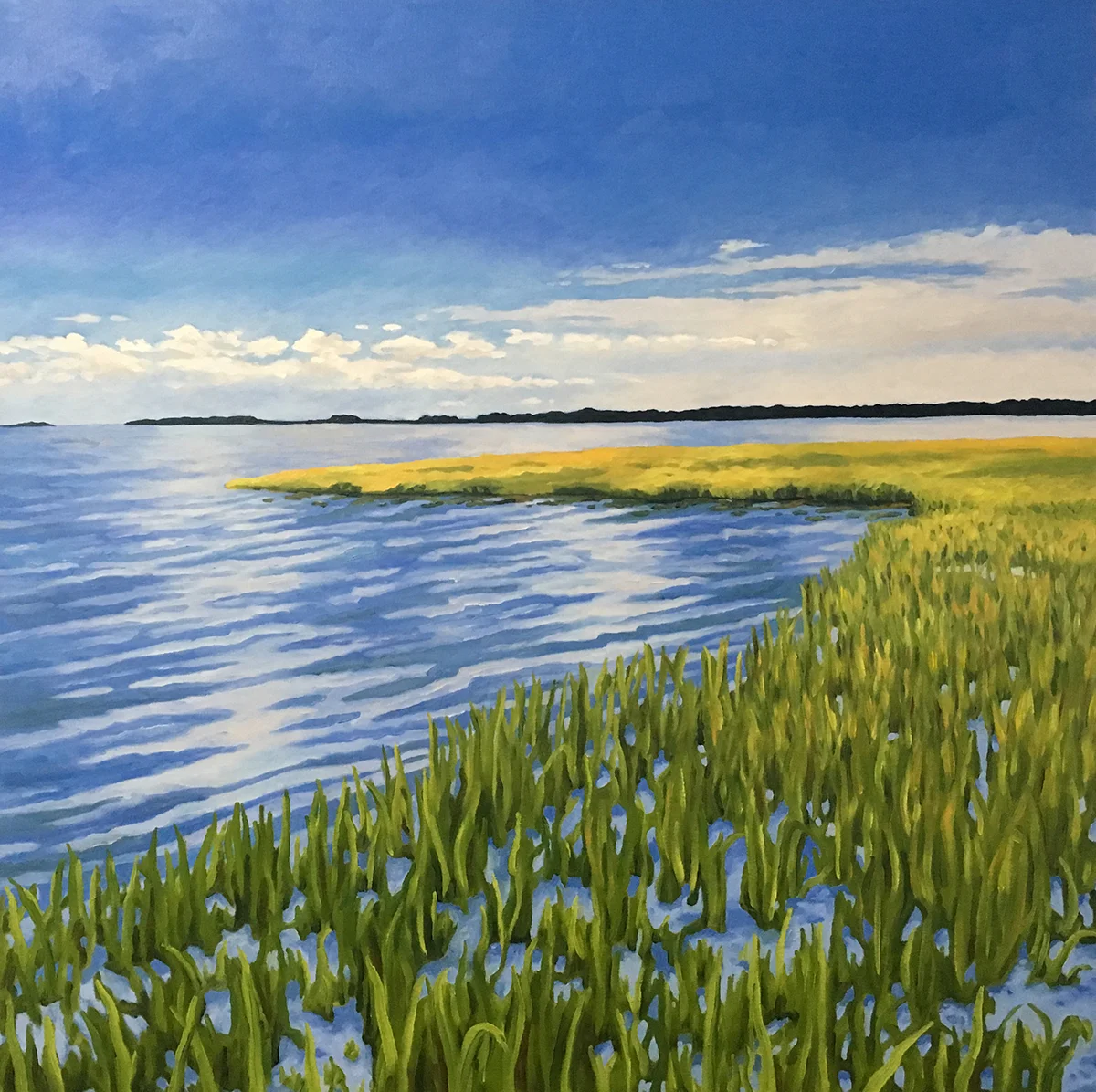 South Carolina Marsh