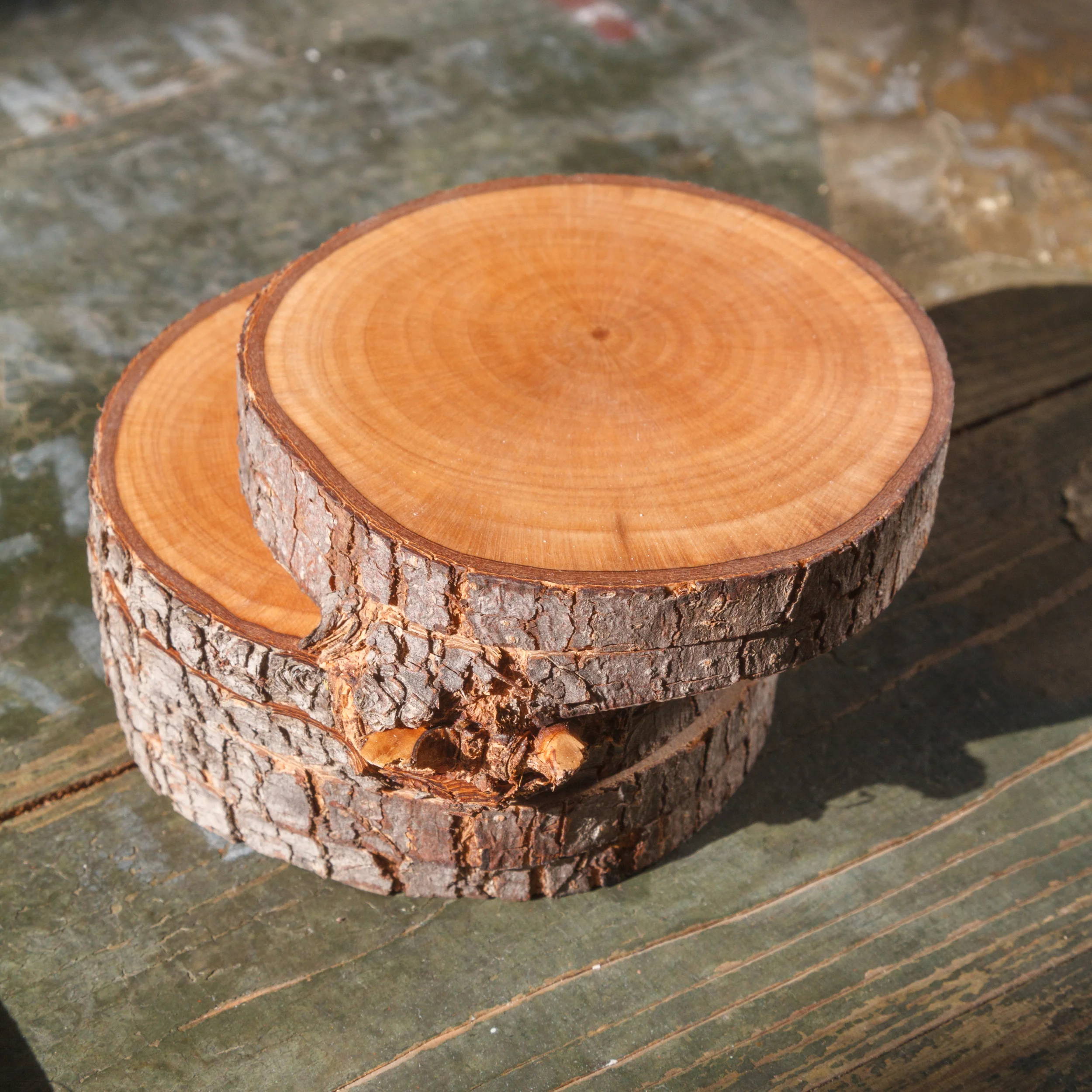 Pixelated Tree Coasters