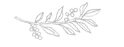 05-icon.png