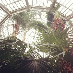 McNeely Conservatory inspired NewStudio Architecture's entry in the Fusion + Fashion fundraiser