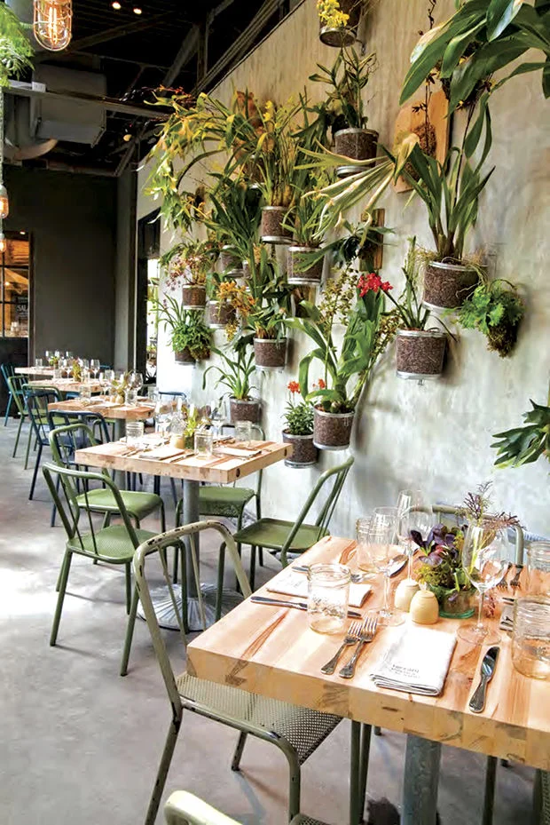 Green Walls For Fresh Design