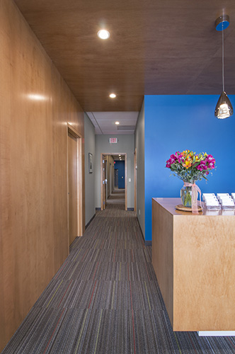 Wood paneling and bold blue walls, designed by NewStudio Architecture, add interest to a long hallway