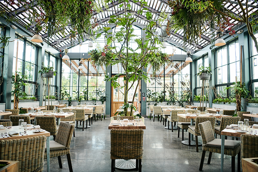 Dining area in the greenhouse-style restaurant at Devon Yard, designed by NewStudio Architecture
