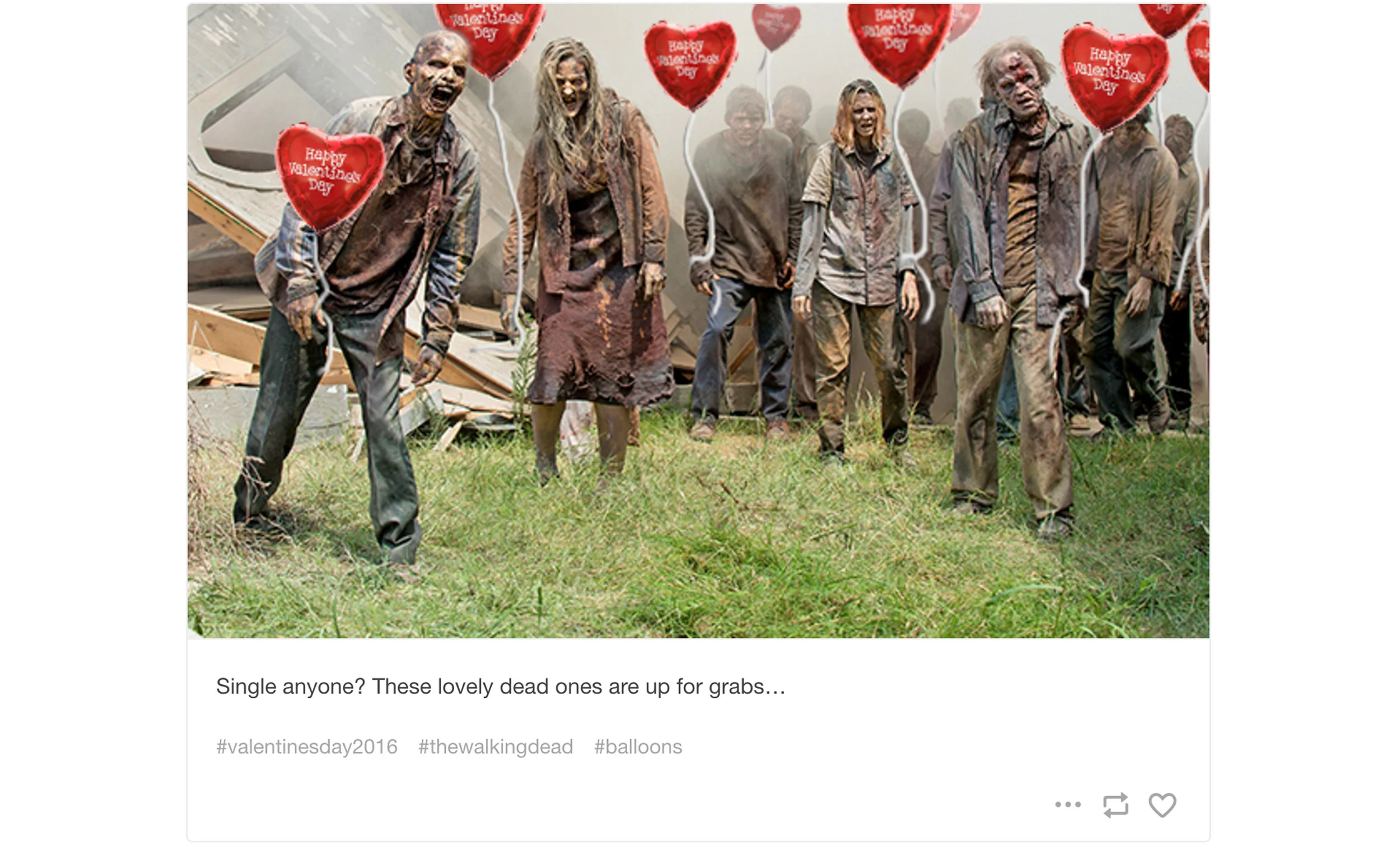 TWD1.jpg