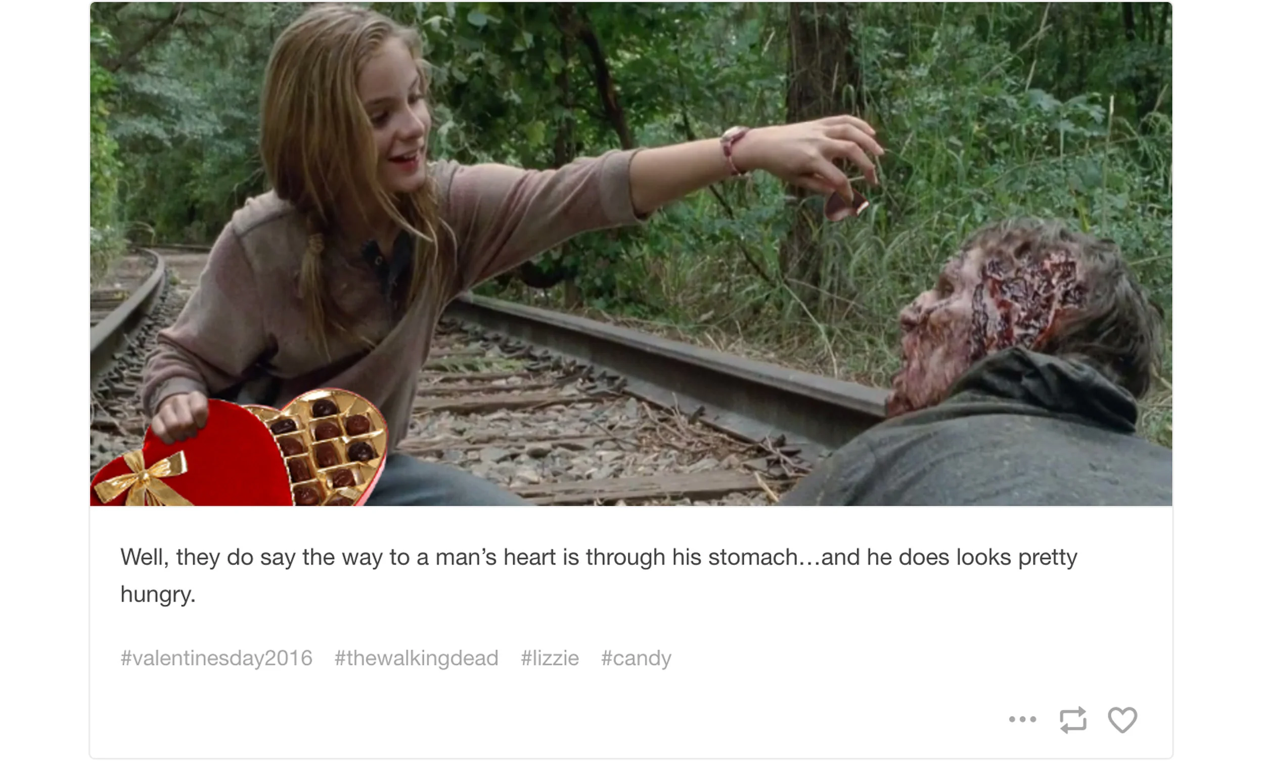 TWD3.jpg
