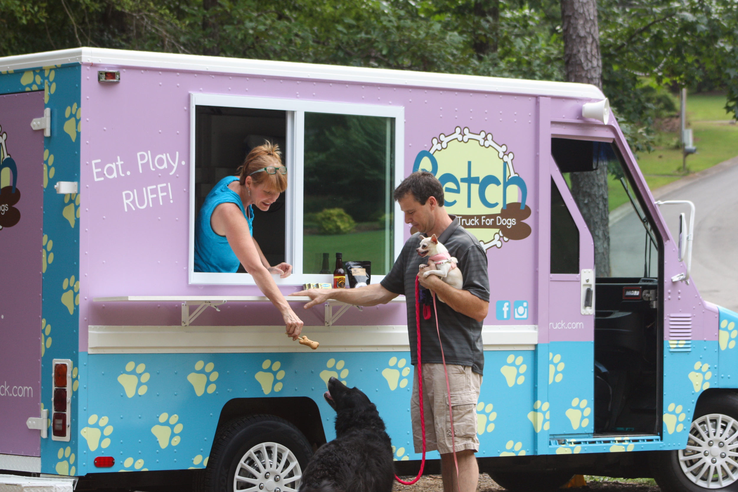 Fetch A Treat Truck For Dogs