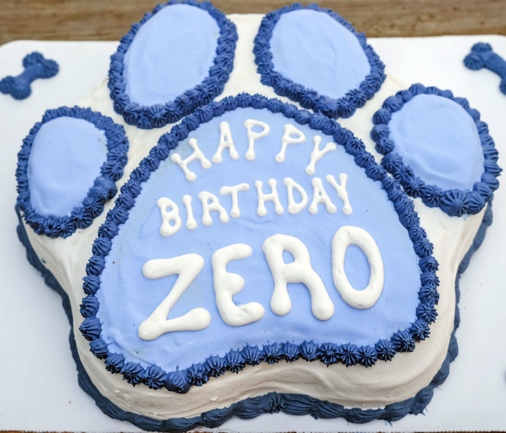 Large Custom Birthday Cakes (Paw or Bone) — FETCH - A Treat Truck for Dogs