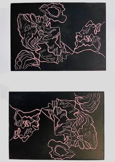 two pink shells on black.jpeg