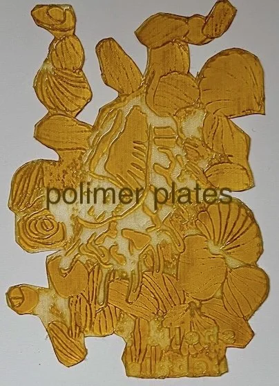 polimer plate cut out.jpeg