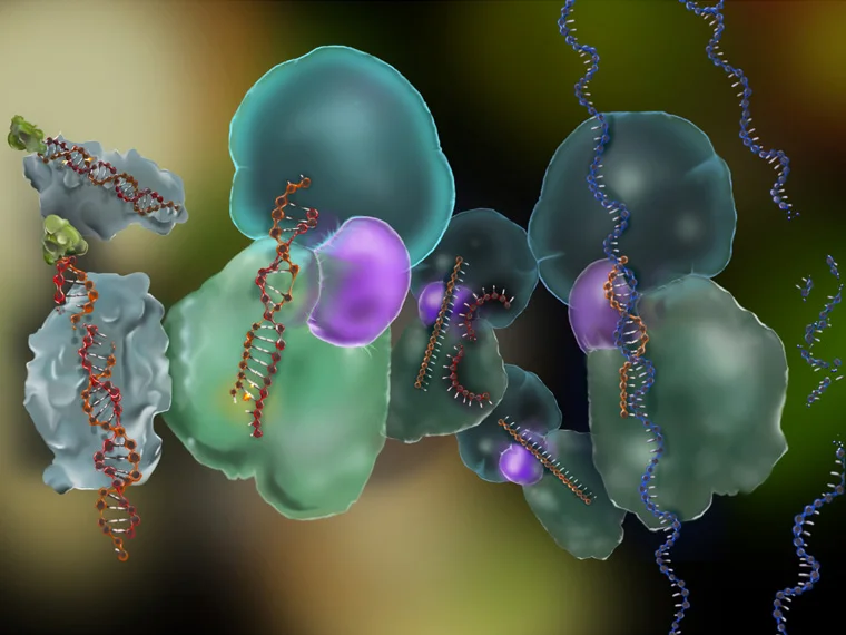 RNAi painting (2009)