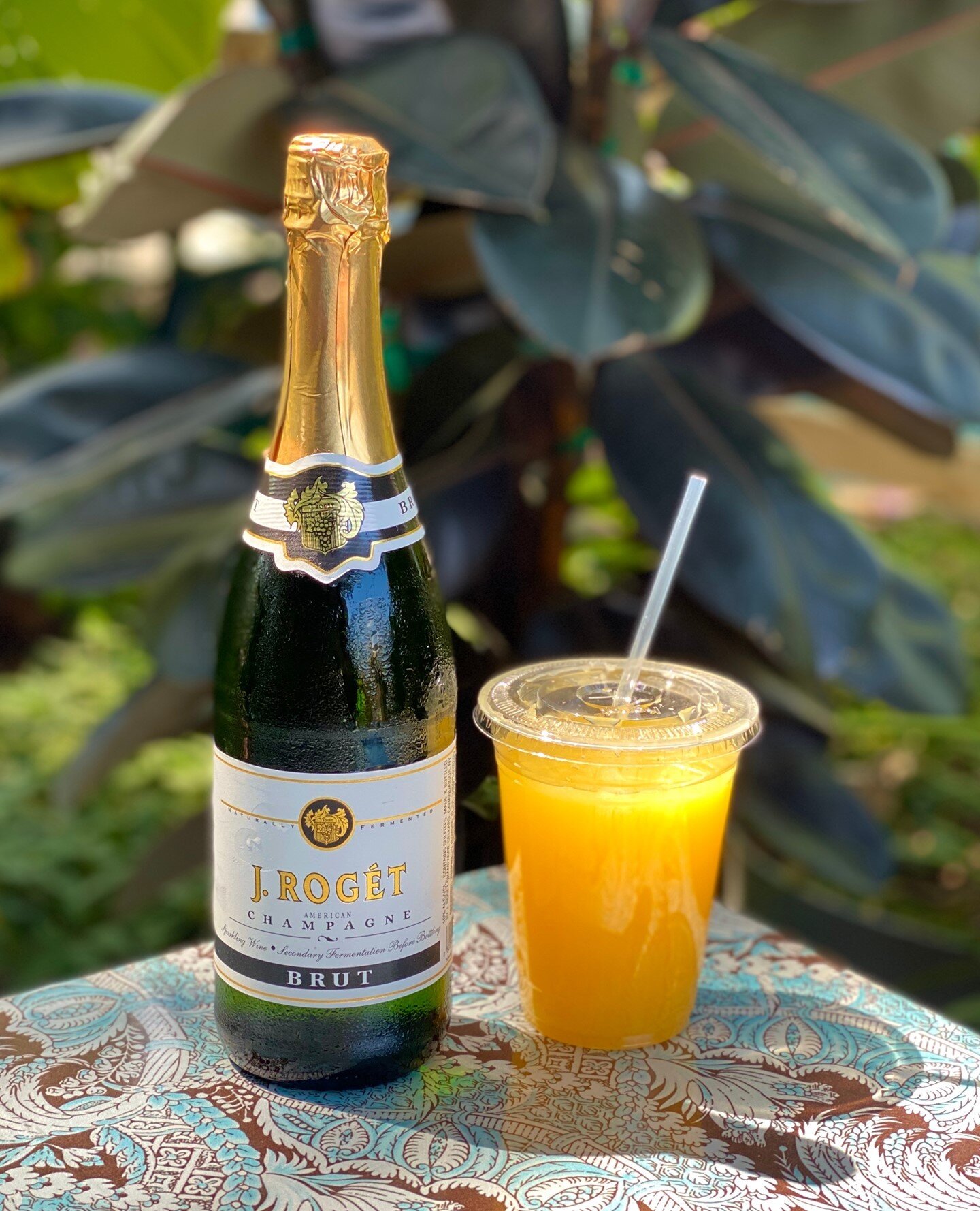 Bring brunch home with our to-go mimosa kit!🥂🍾⁠
Order through the link in our bio for pickup or delivery.⁠
⁠
Excited to dine-in? Our dining room &amp; patio are now open for full service, daily from 8am - 9pm!