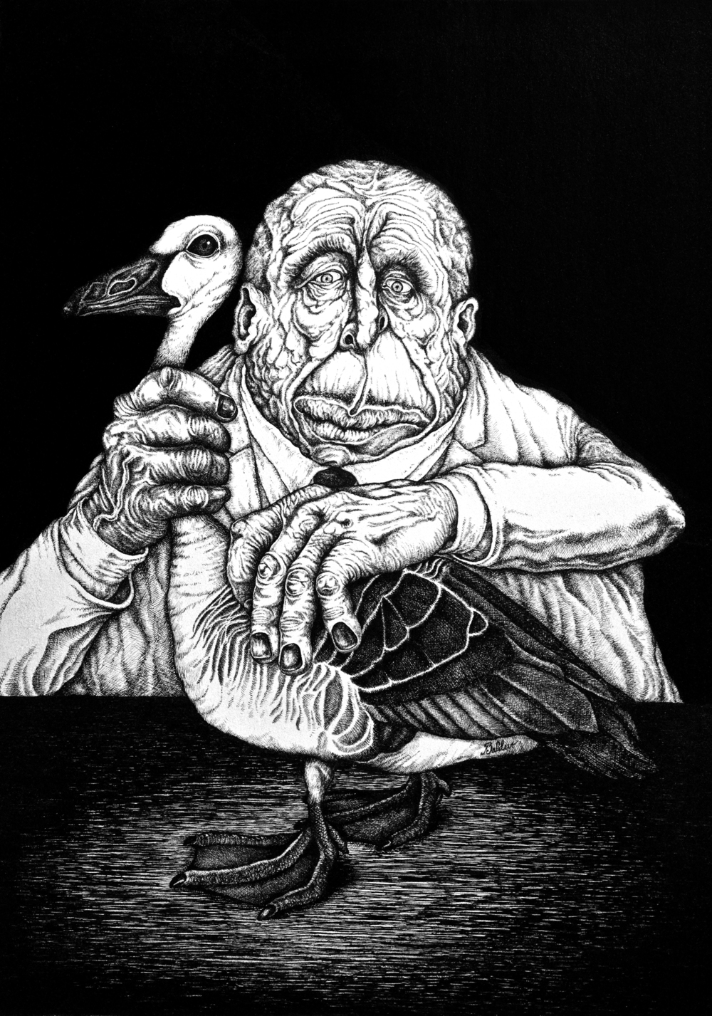   Portrait of a Man with His Goose  Pen &amp; Ink on Paper, 14x17 2012 