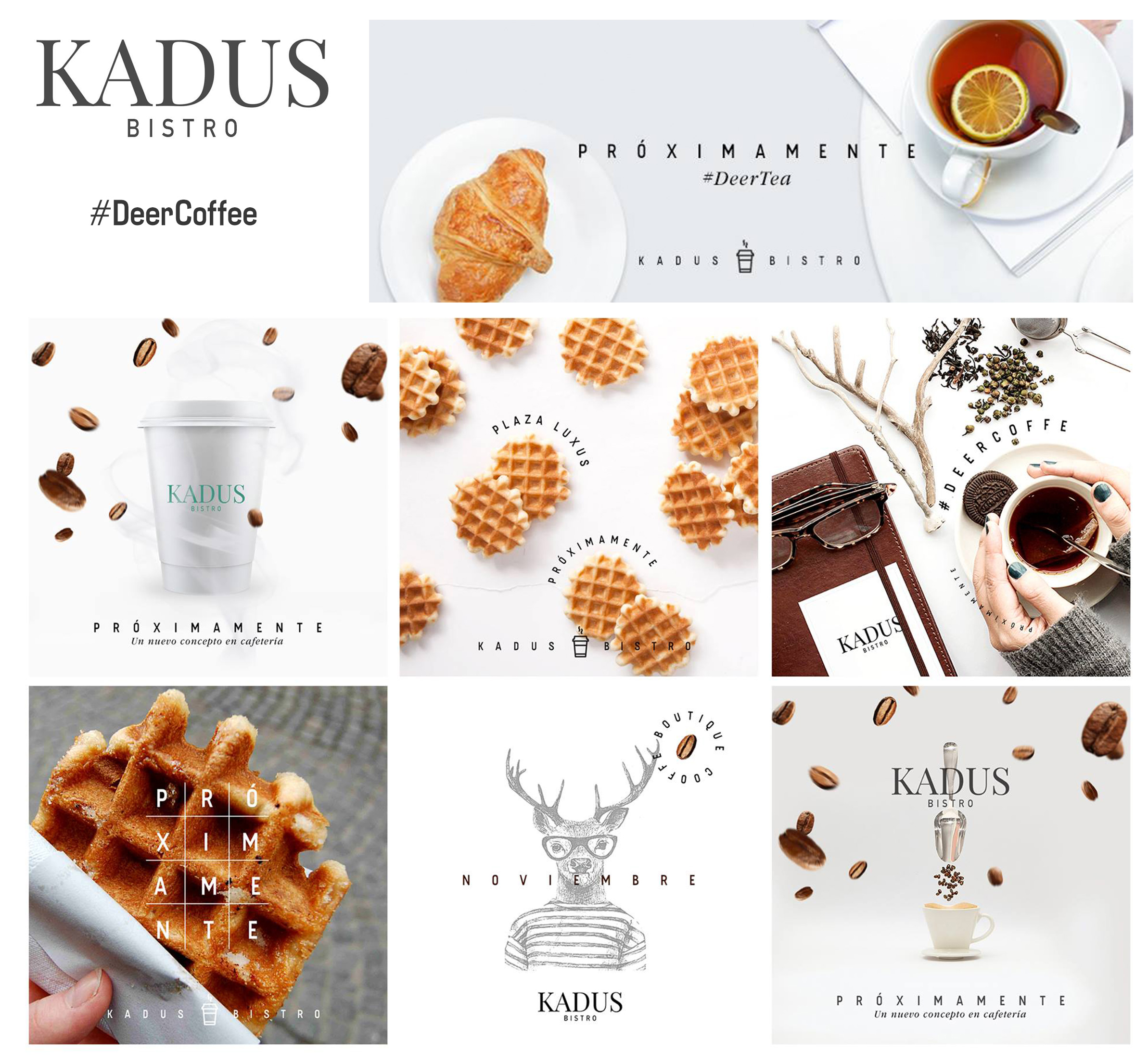  K A D U S B I S T R O Estrategia / Diseño / @kadusbistro / #DeerCoffee