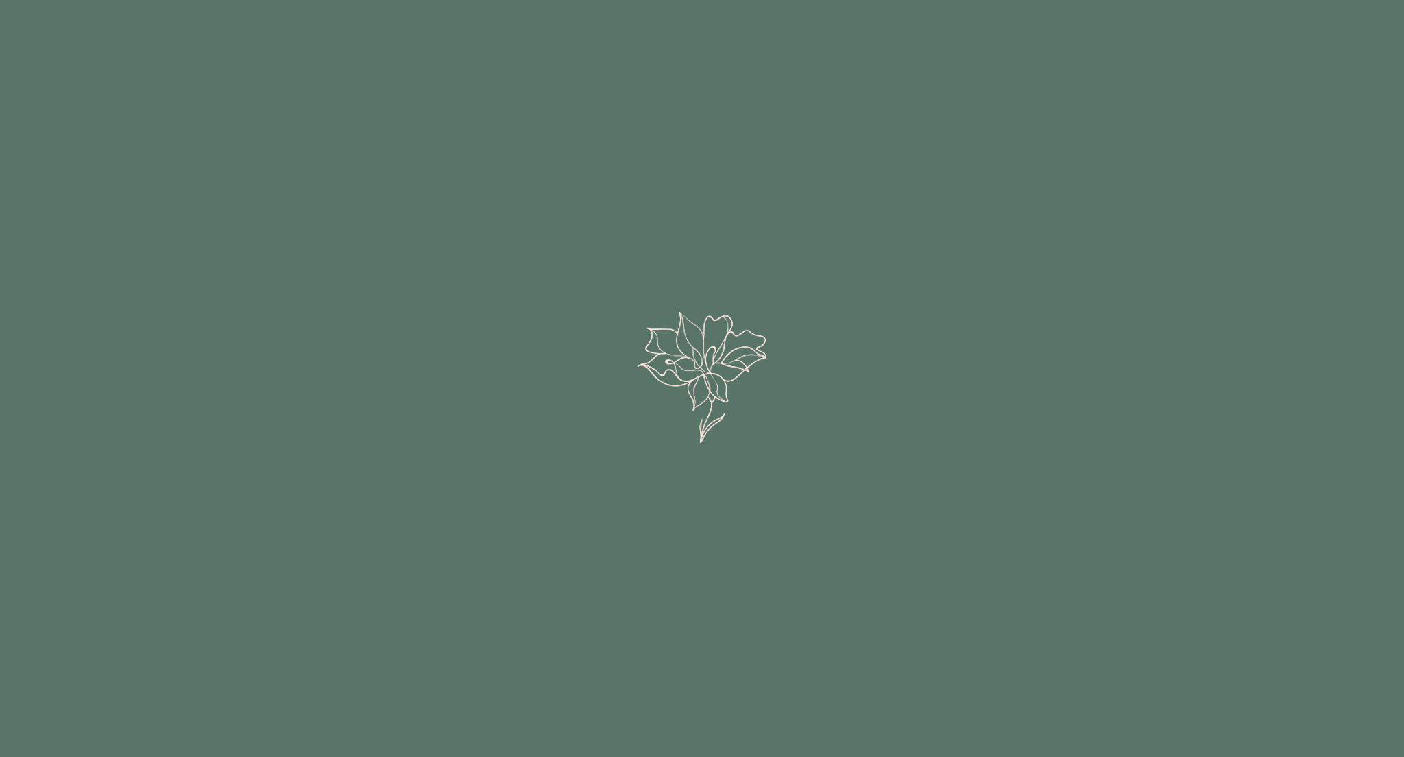 16.gif