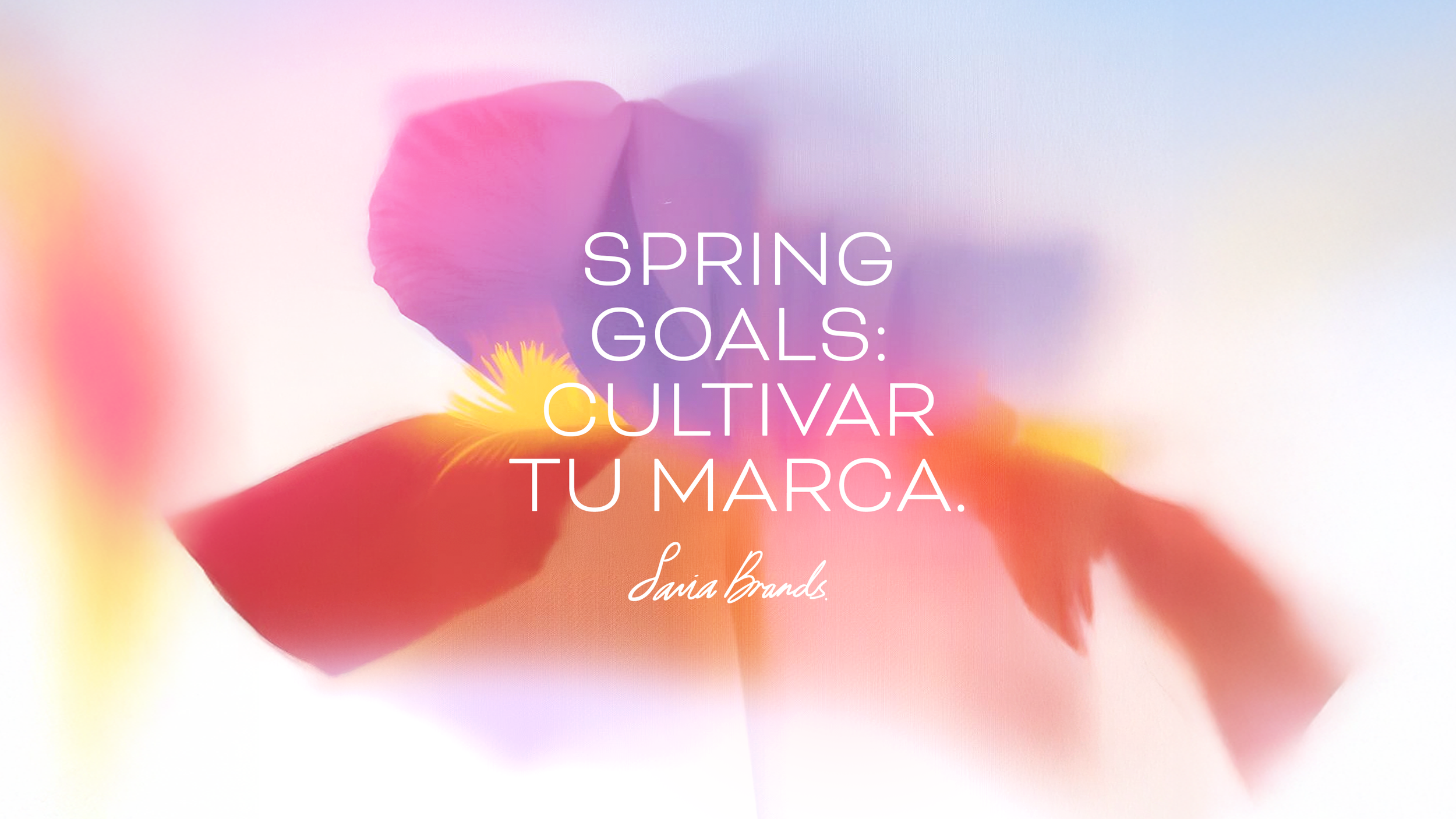 Savia Brands blog marzo 2026 sobre rebranding y aplicaciones de marca.