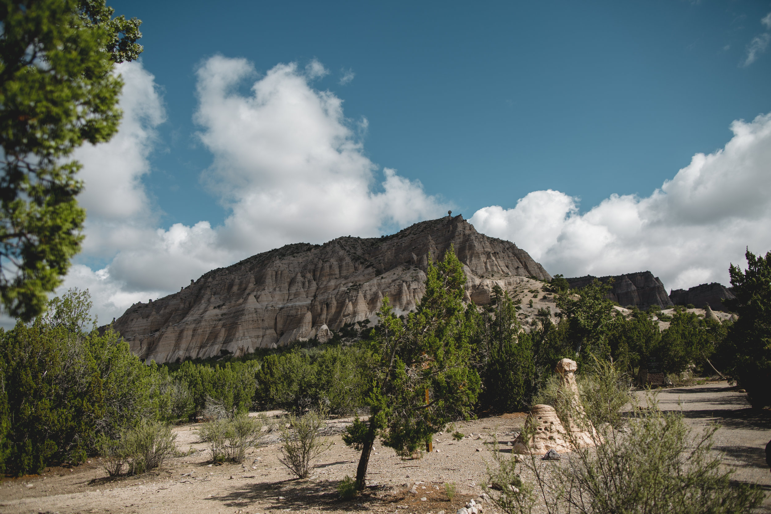 NewMEXICO-1.jpg