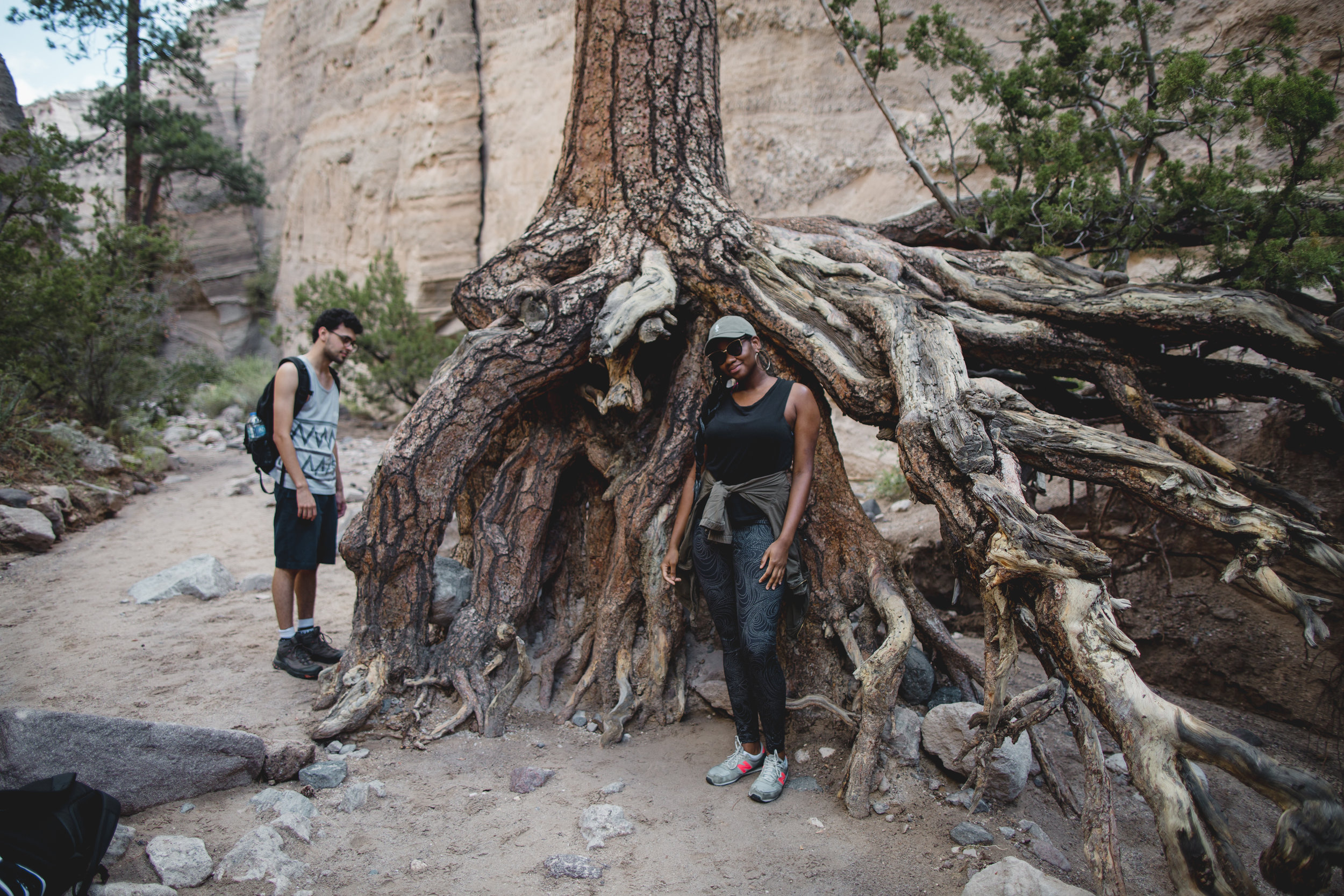 NewMEXICO-9.jpg