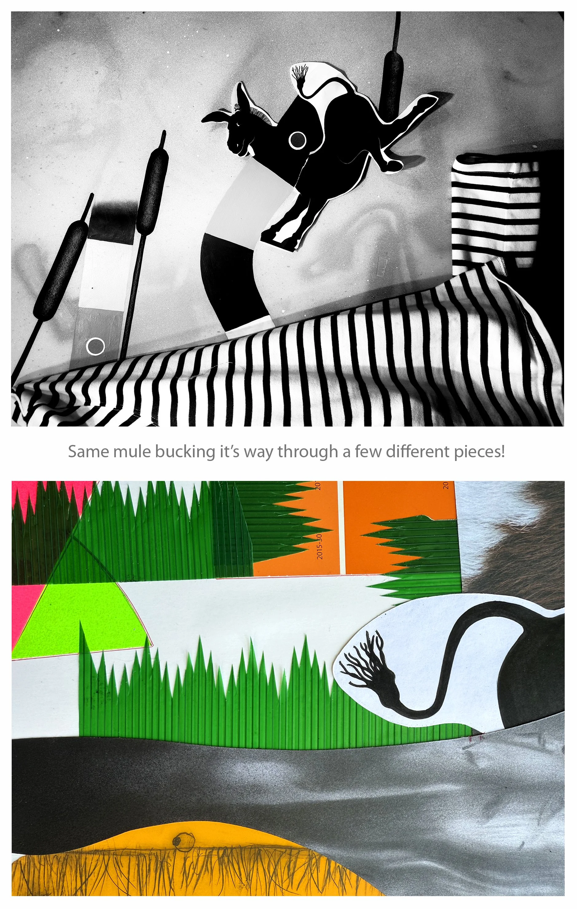 Two mules bucking.jpg