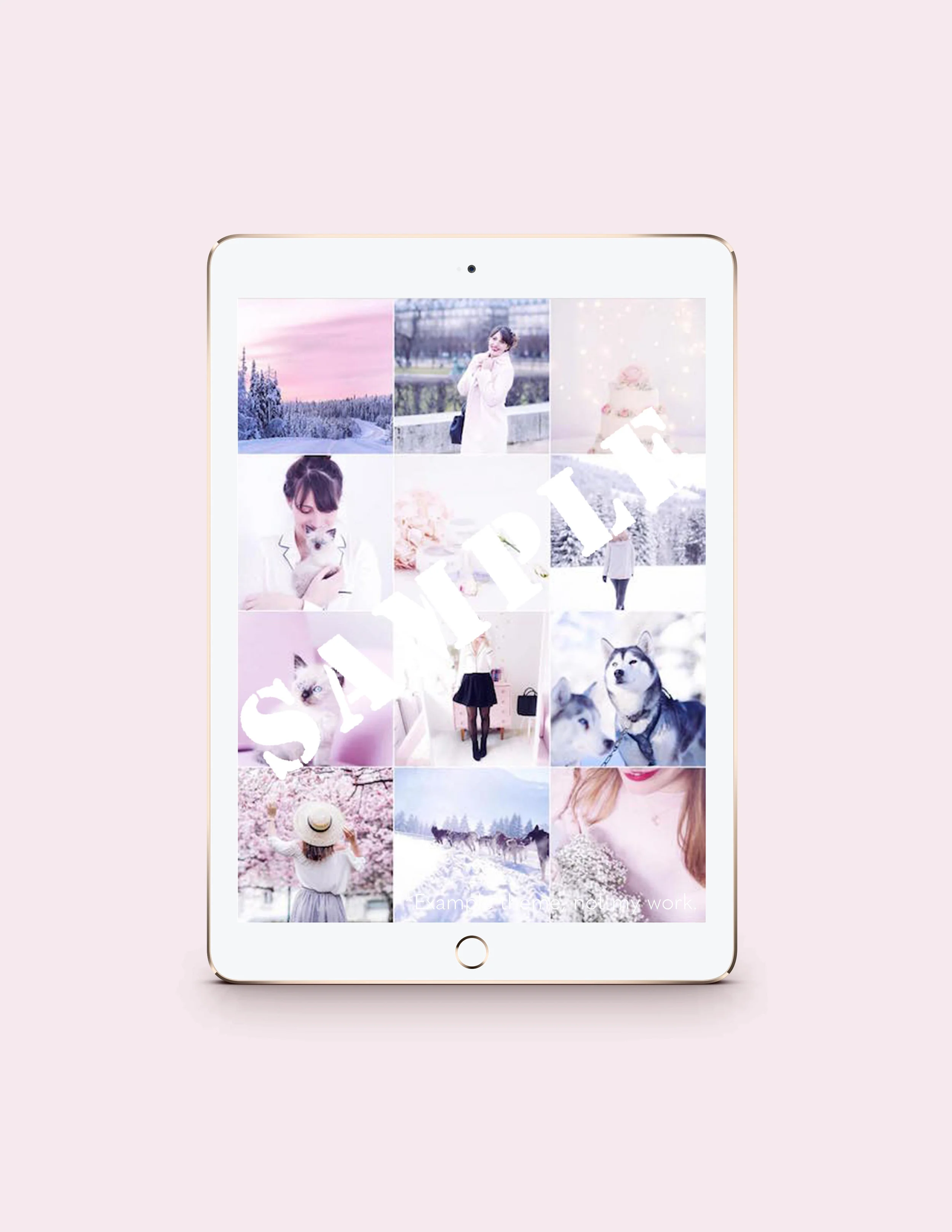 Pink Dogs iPad Content Example 2.jpg