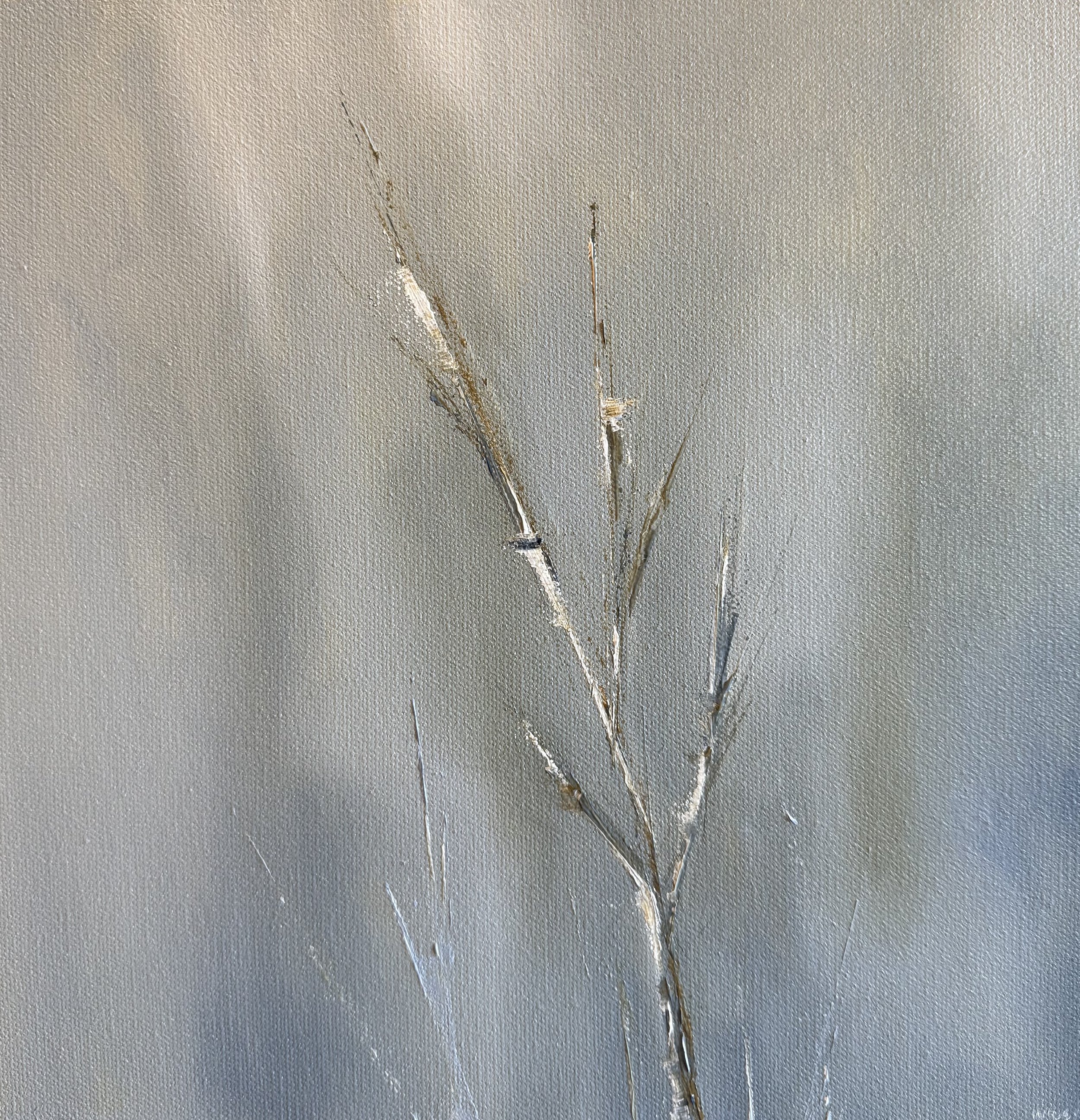 Early Winter
