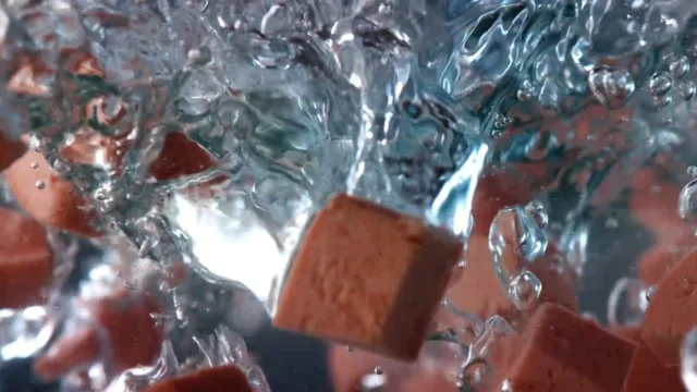 Hunger Meals - Sausage