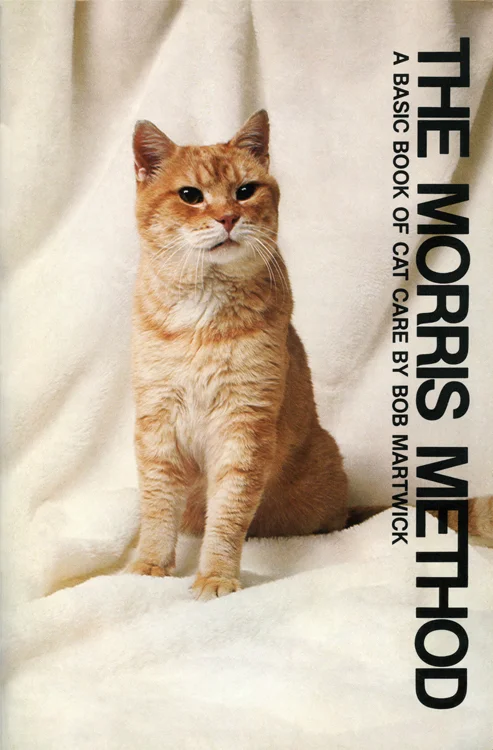 Morris the Cat coverwkg.jpg