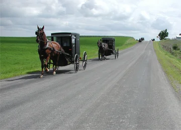 carriages large.jpg