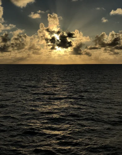 Golden sunset.jpg